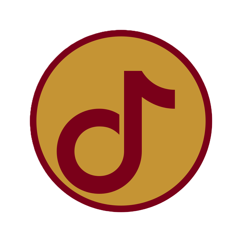 TikTok Icon